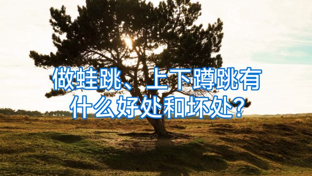 做蛙跳、上下蹲跳有什么好处和坏处?