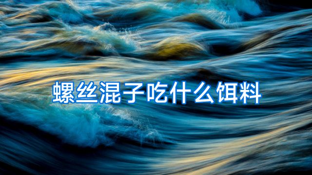 螺丝混子吃什么饵料