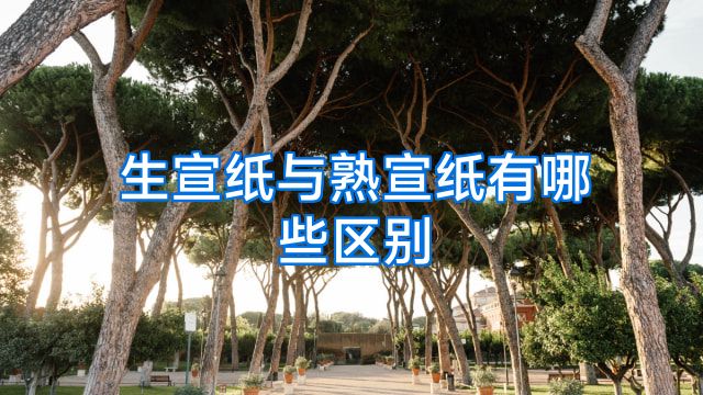 生宣纸与熟宣纸有哪些区别