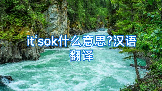 it‘sok什么意思?汉语翻译