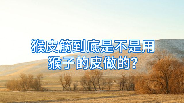 猴皮筋到底是不是用猴子的皮做的?