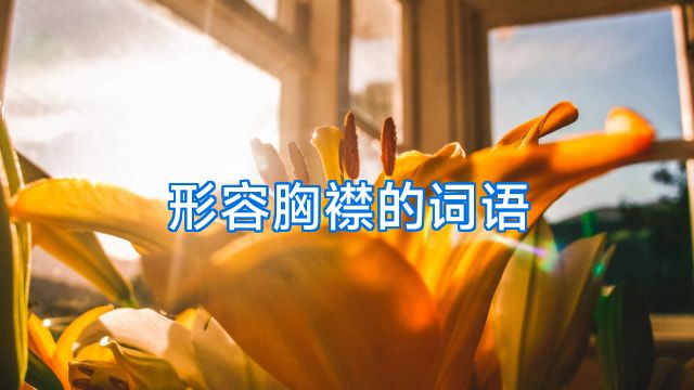 形容胸襟的词语