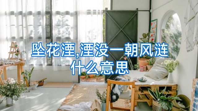 坠花湮,湮没一朝风涟什么意思