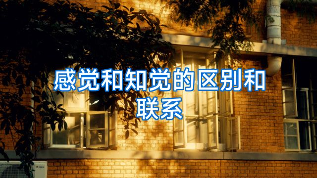 感觉和知觉的区别和联系