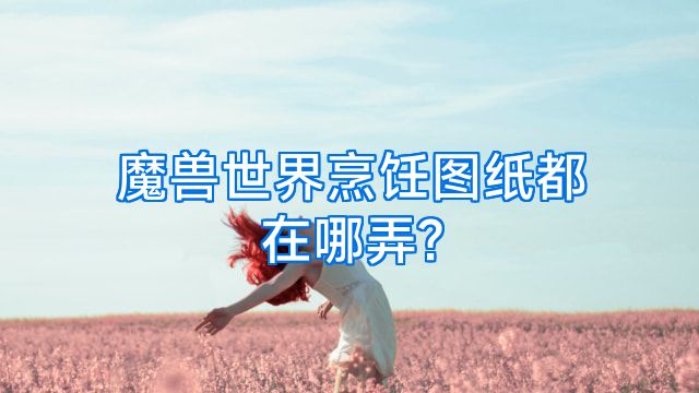魔兽世界烹饪图纸都在哪弄?