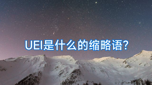 UEI是什么的缩略语?