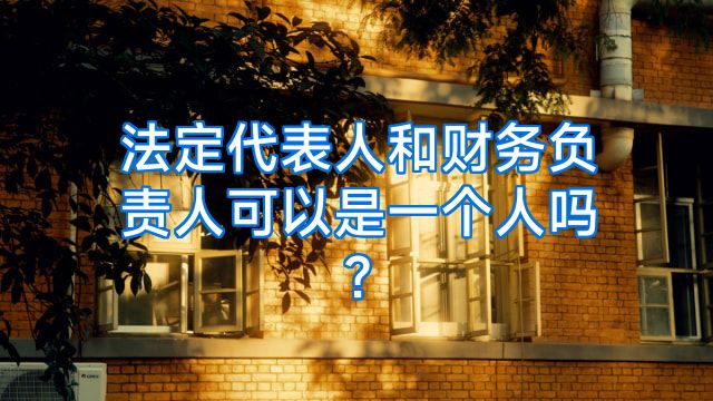 法定代表人和财务负责人可以是一个人吗?