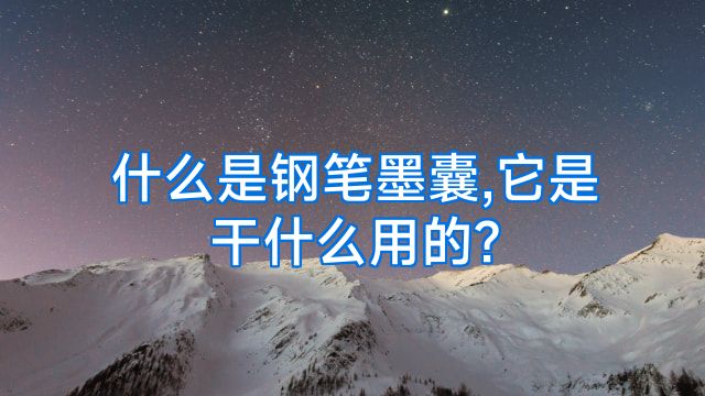 什么是钢笔墨囊,它是干什么用的?