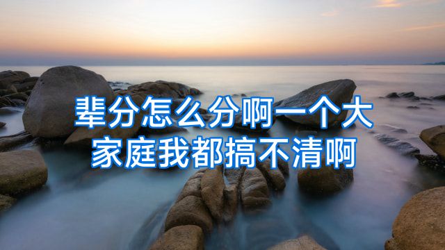 辈分怎么分啊一个大家庭我都搞不清啊