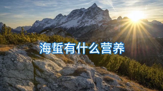 海蜇有什么营养