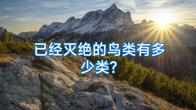 已经灭绝的鸟类有多少类?