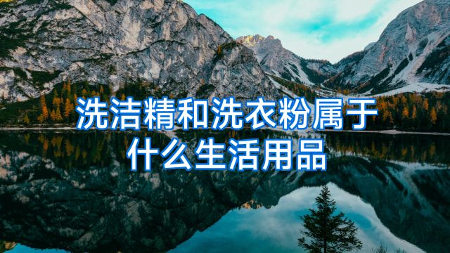洗洁精和洗衣粉属于什么生活用品