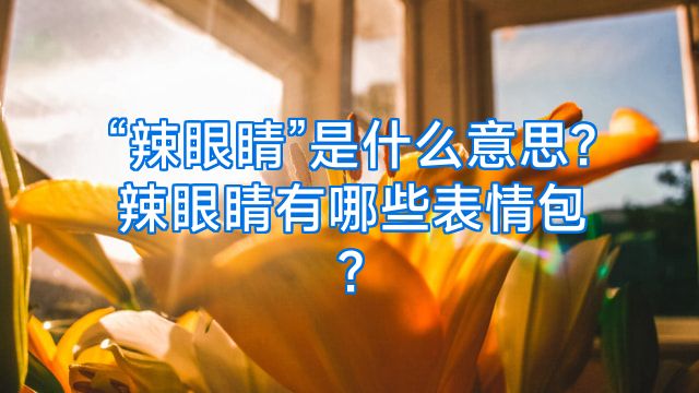 “辣眼睛”是什么意思?辣眼睛有哪些表情包?