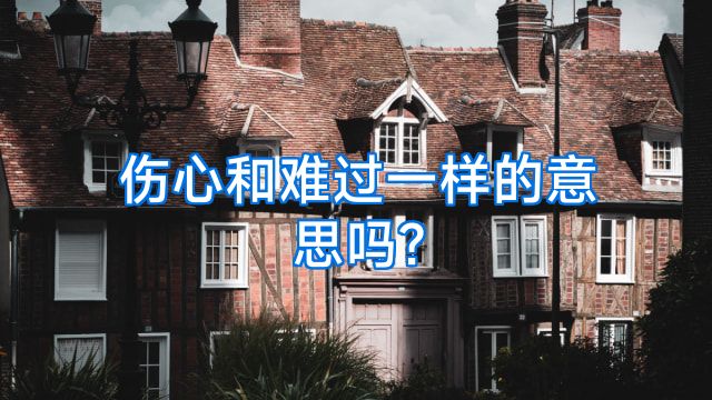 伤心和难过一样的意思吗?