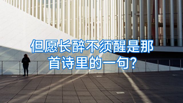 但愿长醉不须醒是那首诗里的一句?