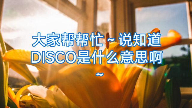大家帮帮忙～说知道DISCO是什么意思啊～