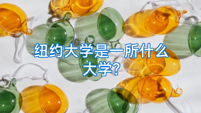 纽约大学是一所什么大学?