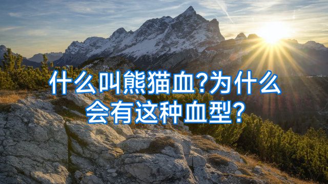 什么叫熊猫血?为什么会有这种血型?