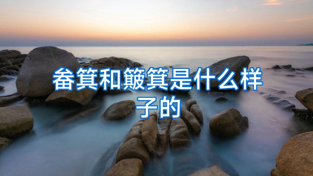 畚箕和簸箕是什么样子的