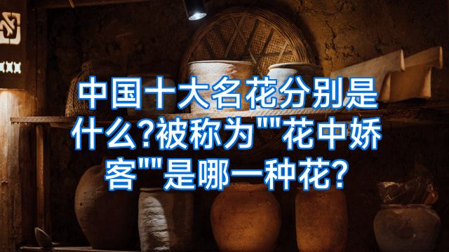 中国十大名花分别是什么?被称为