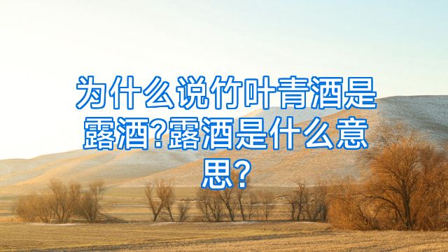 为什么说竹叶青酒是露酒?露酒是什么意思?