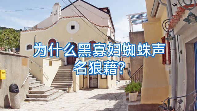 为什么黑寡妇蜘蛛声名狼藉?