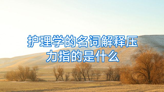 护理学的名词解释压力指的是什么