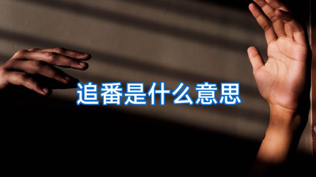 追番是什么意思