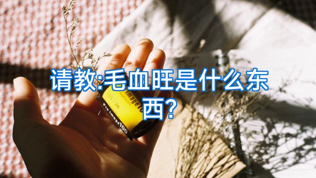 请教:毛血旺是什么东西?