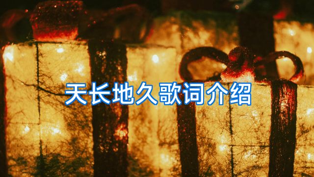 天长地久歌词介绍