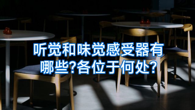 听觉和味觉感受器有哪些?各位于何处?