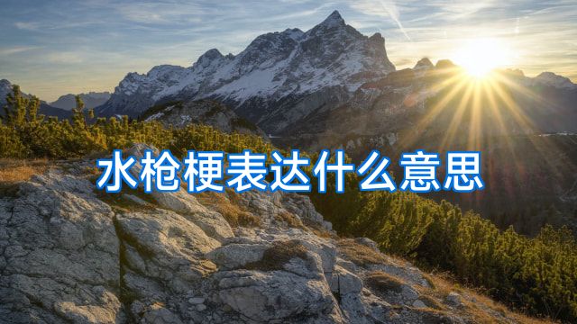 水枪梗表达什么意思