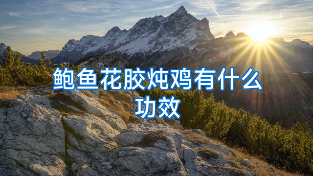 鲍鱼花胶炖鸡有什么功效
