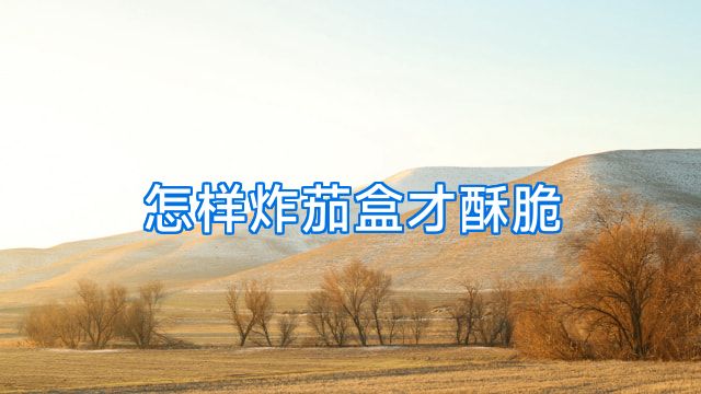 怎样炸茄盒才酥脆