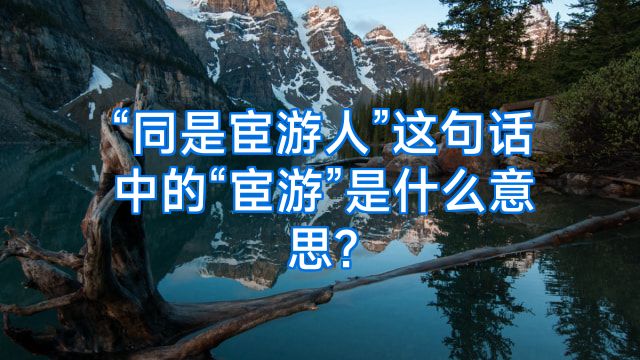 “同是宦游人”这句话中的“宦游”是什么意思?
