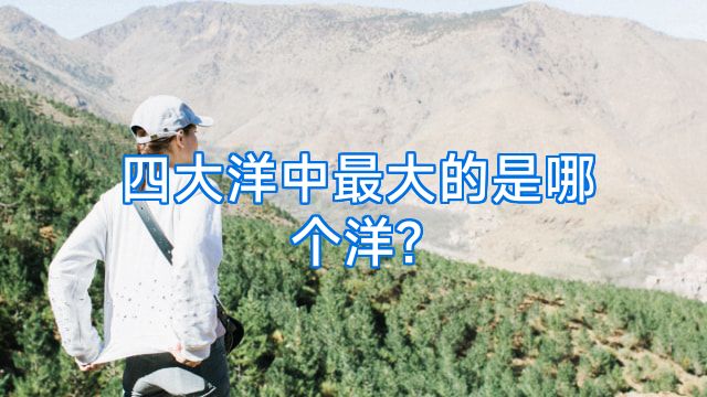 四大洋中最大的是哪个洋?