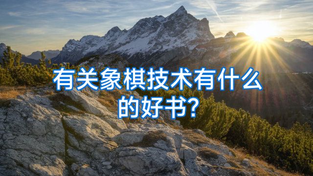 有关象棋技术有什么的好书?