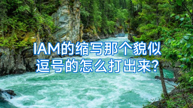 IAM的缩写那个貌似逗号的怎么打出来?