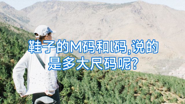 鞋子的M码和l码,说的是多大尺码呢?