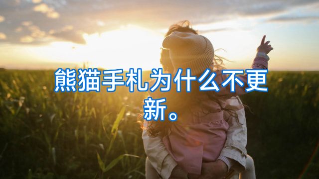 熊猫手札为什么不更新。