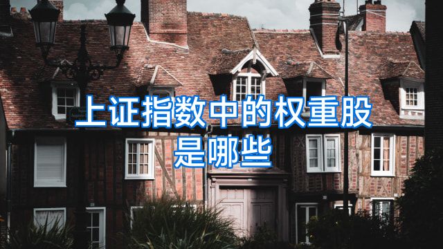 上证指数中的权重股是哪些