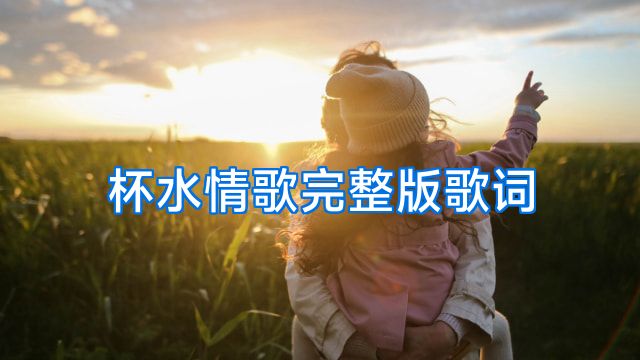 杯水情歌完整版歌词