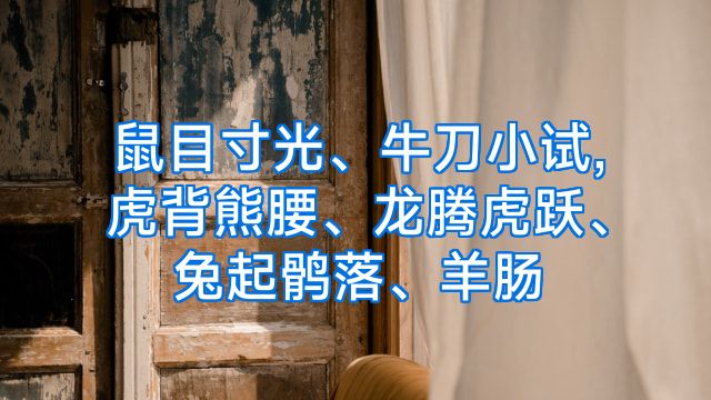 鼠目寸光、牛刀小试,虎背熊腰、龙腾虎跃、兔起鹘落、羊肠