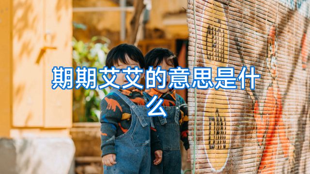 期期艾艾的意思是什么