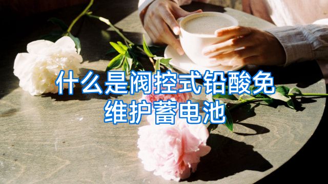 什么是阀控式铅酸免维护蓄电池