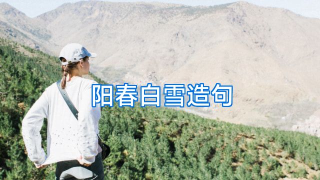 阳春白雪造句