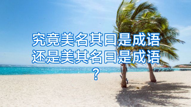 究竟美名其曰是成语还是美其名曰是成语?