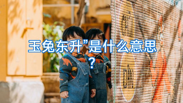 玉兔东升”是什么意思?