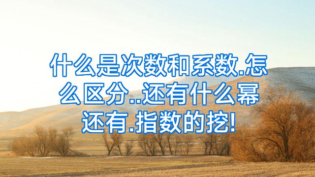 什么是次数和系数.怎么区分..还有什么幂还有.指数的挖!
