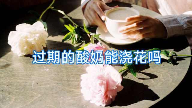 过期的酸奶能浇花吗